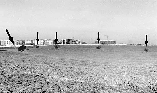 Etruscan cuniculus near Via di Torrevecchia, Rome.