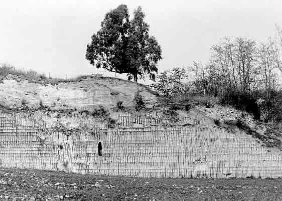 Etruscan cuniculus. Via Tiberina, Rome.