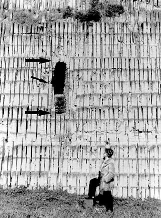 Etruscan cuniculus near Via Tiberina. Paula Howarth